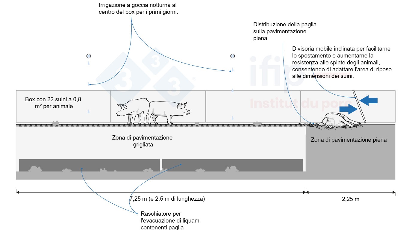Esempio di condizionamento di un box con pavimento parzialmente fessurato Adattato dalla Guida BâtiPorc C4E, 2024.